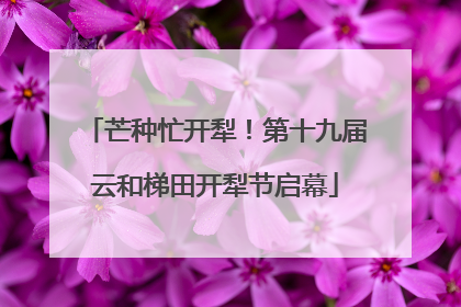 芒种忙开犁！第十九届云和梯田开犁节启幕