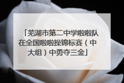 芜湖市第二中学啦啦队在全国啦啦操锦标赛（中大组）中勇夺三金