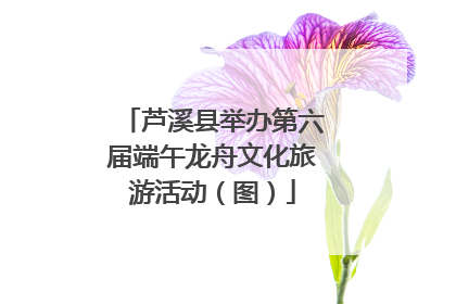 芦溪县举办第六届端午龙舟文化旅游活动（图）