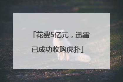 花费5亿元，迅雷已成功收购虎扑