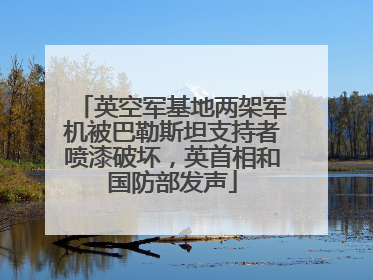英空军基地两架军机被巴勒斯坦支持者喷漆破坏，英首相和国防部发声