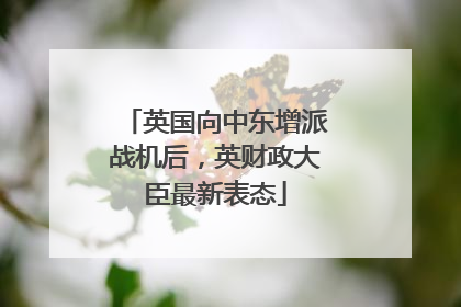英国向中东增派战机后，英财政大臣最新表态