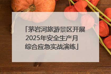 茅岩河旅游景区开展2025年安全生产月综合应急实战演练