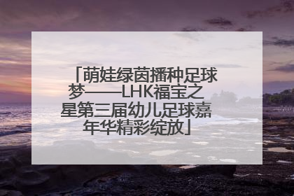 萌娃绿茵播种足球梦——LHK福宝之星第三届幼儿足球嘉年华精彩绽放