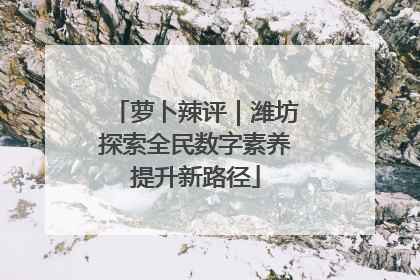 萝卜辣评｜潍坊探索全民数字素养提升新路径