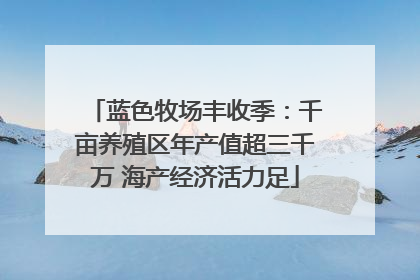 蓝色牧场丰收季：千亩养殖区年产值超三千万 海产经济活力足