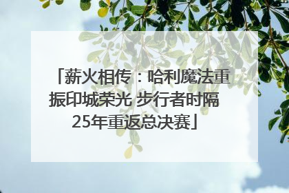 薪火相传：哈利魔法重振印城荣光 步行者时隔25年重返总决赛