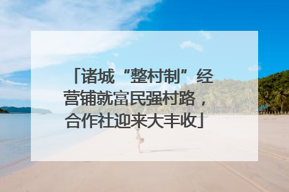 诸城“整村制”经营铺就富民强村路，合作社迎来大丰收