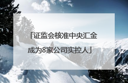 证监会核准中央汇金成为8家公司实控人