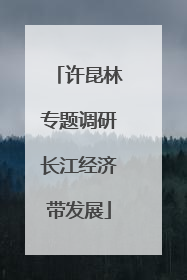 许昆林专题调研长江经济带发展