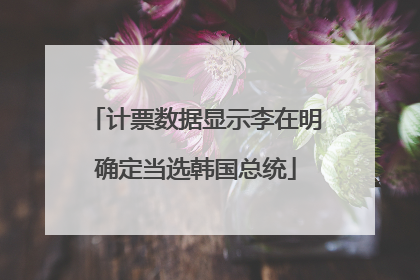 计票数据显示李在明确定当选韩国总统