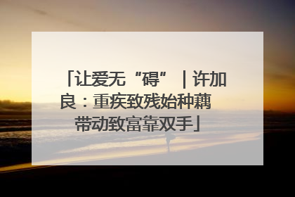 让爱无“碍”｜许加良：重疾致残始种藕 带动致富靠双手