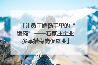 让员工端稳手里的“饭碗”——石家庄企业多举措稳岗促就业
