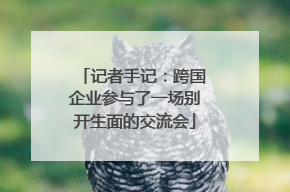 记者手记：跨国企业参与了一场别开生面的交流会