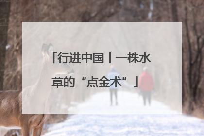 行进中国丨一株水草的“点金术”