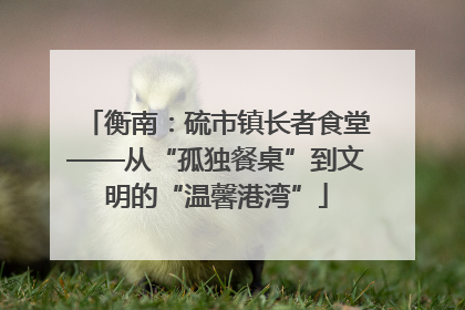 衡南：硫市镇长者食堂——从“孤独餐桌”到文明的“温馨港湾”