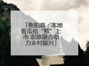 衡阳县：本地香瓜抢“鲜”上市 农旅融合助力乡村振兴