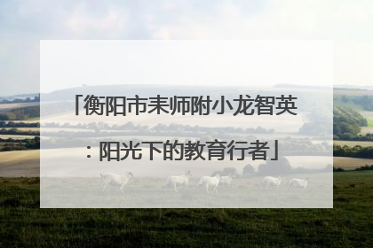 衡阳市耒师附小龙智英：阳光下的教育行者