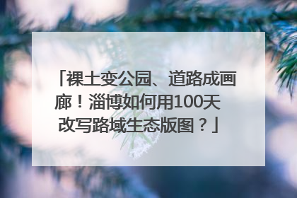裸土变公园、道路成画廊！淄博如何用100天改写路域生态版图？