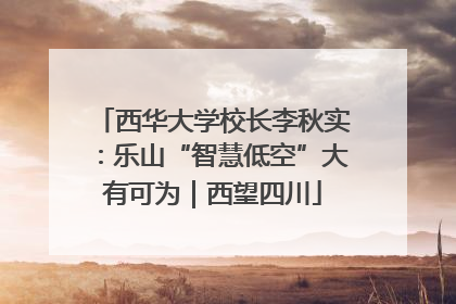 西华大学校长李秋实：乐山“智慧低空”大有可为｜西望四川