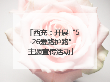 西充：开展“5·26爱路护路”主题宣传活动