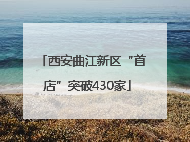 西安曲江新区“首店”突破430家