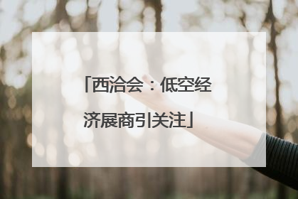西洽会：低空经济展商引关注