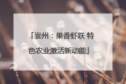 襄州：果香虾跃 特色农业激活新动能