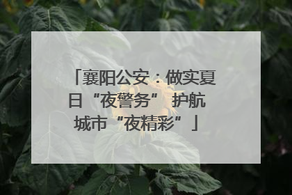 襄阳公安：做实夏日“夜警务” 护航城市“夜精彩”
