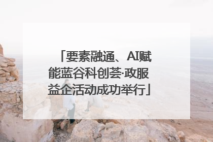 要素融通、AI赋能蓝谷科创荟·政服益企活动成功举行