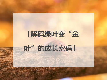 解码绿叶变“金叶”的成长密码