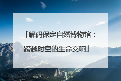 解码保定自然博物馆：跨越时空的生命交响
