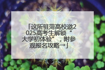 这所驻菏高校邀2025高考生解锁“大学初体验”，附参观报名攻略→
