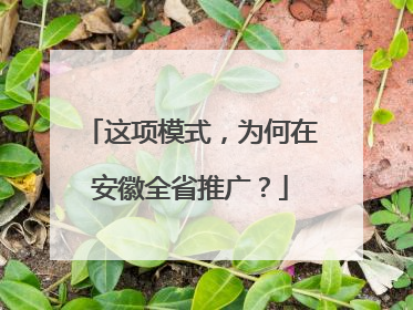 这项模式，为何在安徽全省推广？