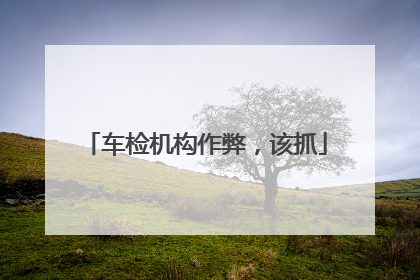 车检机构作弊，该抓