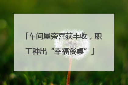 车间屋旁喜获丰收，职工种出“幸福餐桌”