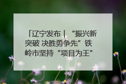 辽宁发布｜“振兴新突破 决胜勇争先”铁岭市坚持“项目为王”推进经济高质量发展