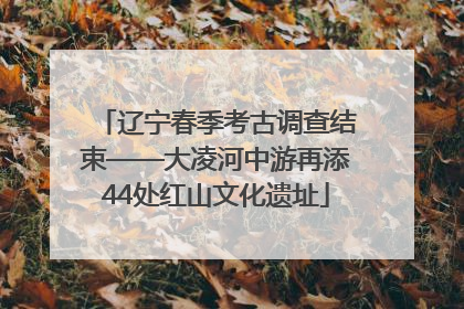 辽宁春季考古调查结束——大凌河中游再添44处红山文化遗址