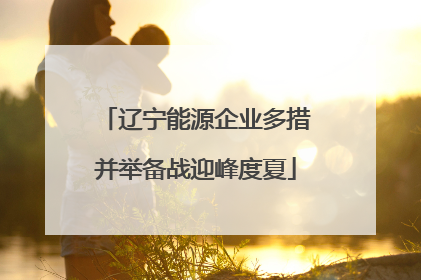 辽宁能源企业多措并举备战迎峰度夏