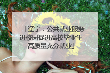 辽宁：公共就业服务进校园促进高校毕业生高质量充分就业