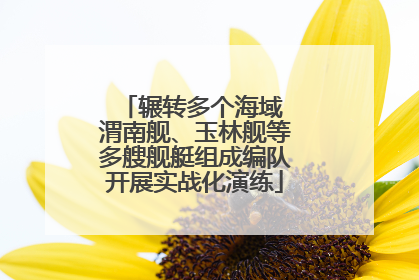 辗转多个海域 渭南舰、玉林舰等多艘舰艇组成编队开展实战化演练