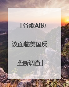 谷歌AI协议面临美国反垄断调查