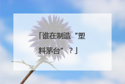 谁在制造“塑料茅台”？