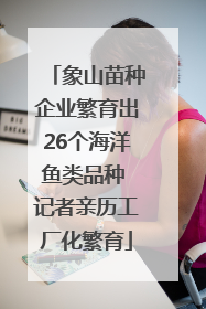 象山苗种企业繁育出26个海洋鱼类品种 记者亲历工厂化繁育