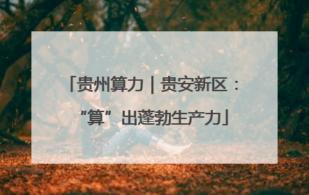 贵州算力｜贵安新区：“算”出蓬勃生产力