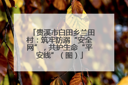贵溪市白田乡兰田村：筑牢防溺“安全网”，共护生命“平安线”（图）