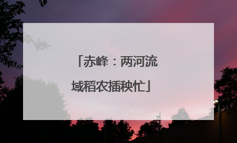 赤峰：两河流域稻农插秧忙
