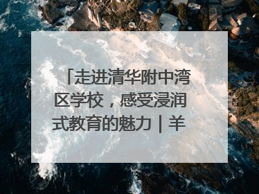 走进清华附中湾区学校，感受浸润式教育的魅力｜羊城名校行