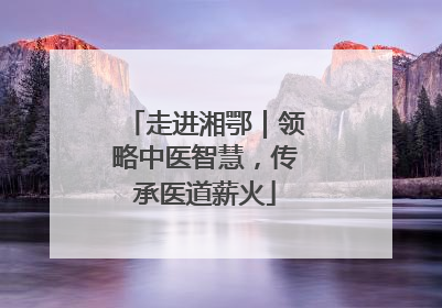 走进湘鄂｜领略中医智慧，传承医道薪火