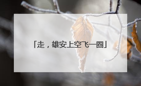 走，雄安上空飞一圈